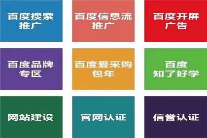 百度竞价代理操作手册：成功案例分析